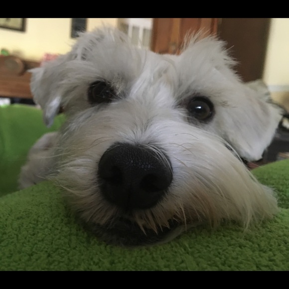 Love & Leather, Meeting Me - Picture 2 of 2